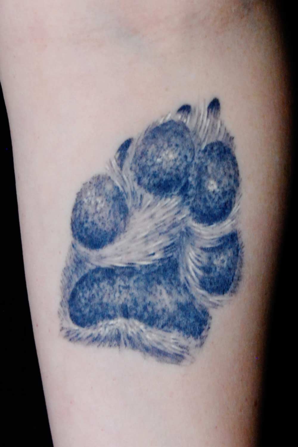 Hunde Pfote Tattoo Hits for Life Tattoo München