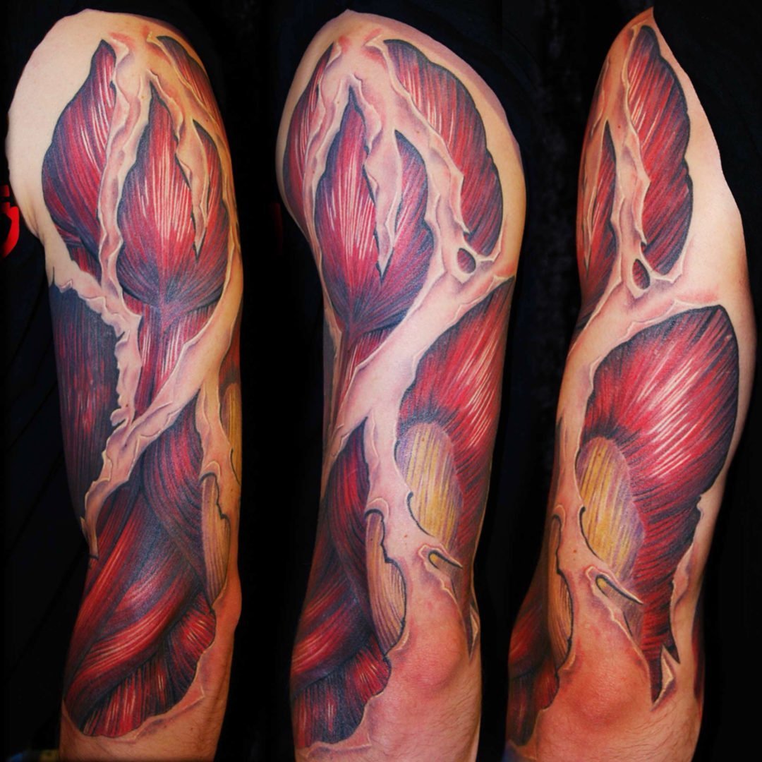 Biomechanik Muskulatur Tattoo