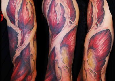 Biomechanik Muskulatur Tattoo