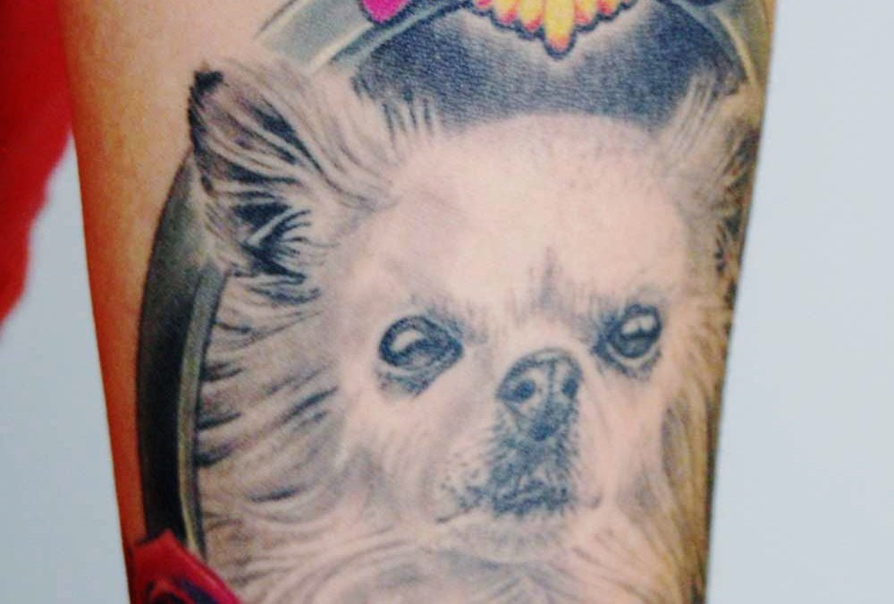 Color Tattoo Archive Seite 2 Von 7 Hits For Life Tattoo Munchen