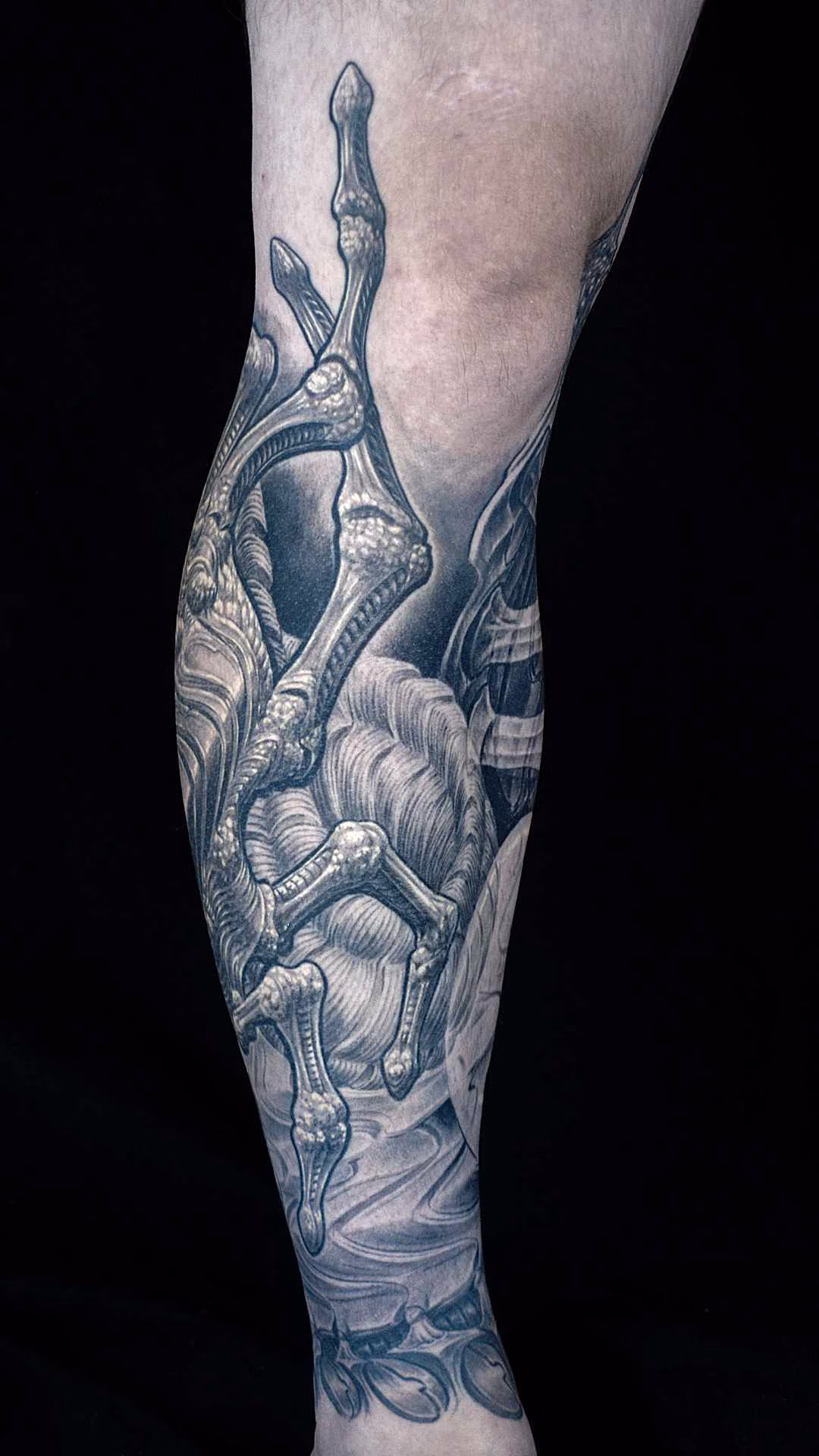 Leicht eingedrehte Schienbeinansicht des Facehugger-Tattoos, die die plastischen Gelenke, Sehnenstrukturen und weichen Schattierungen hervorhebt
