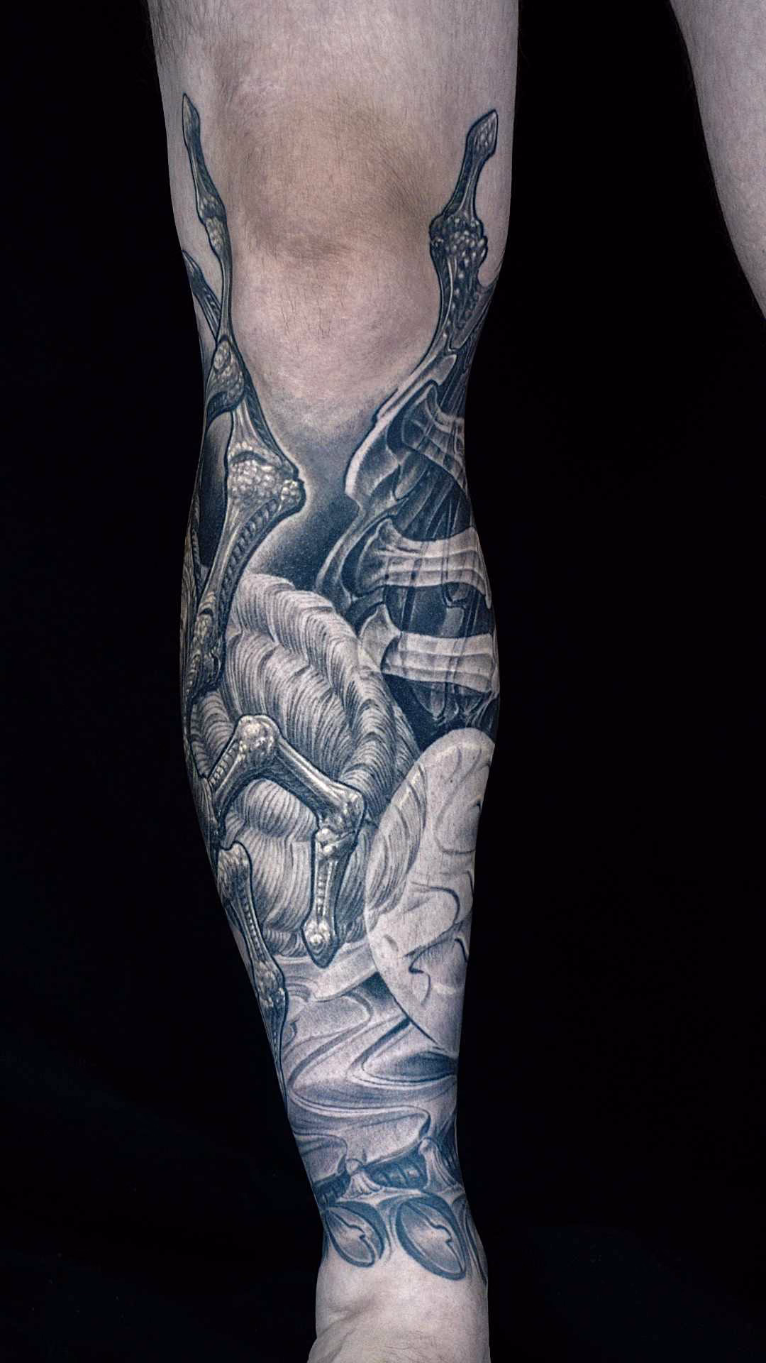 Frontansicht eines biomechanischen Unterschenkel-Tattoos mit dem Alien Facehugger, dessen knöcherne Finger sich anatomisch um die Kniescheibe und das Schienbein spannen