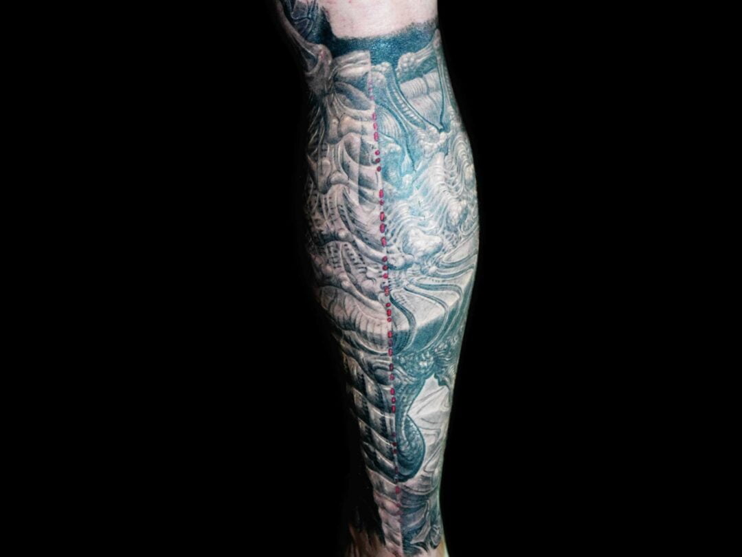 In your Facehugger Tattoo, right, left, straight