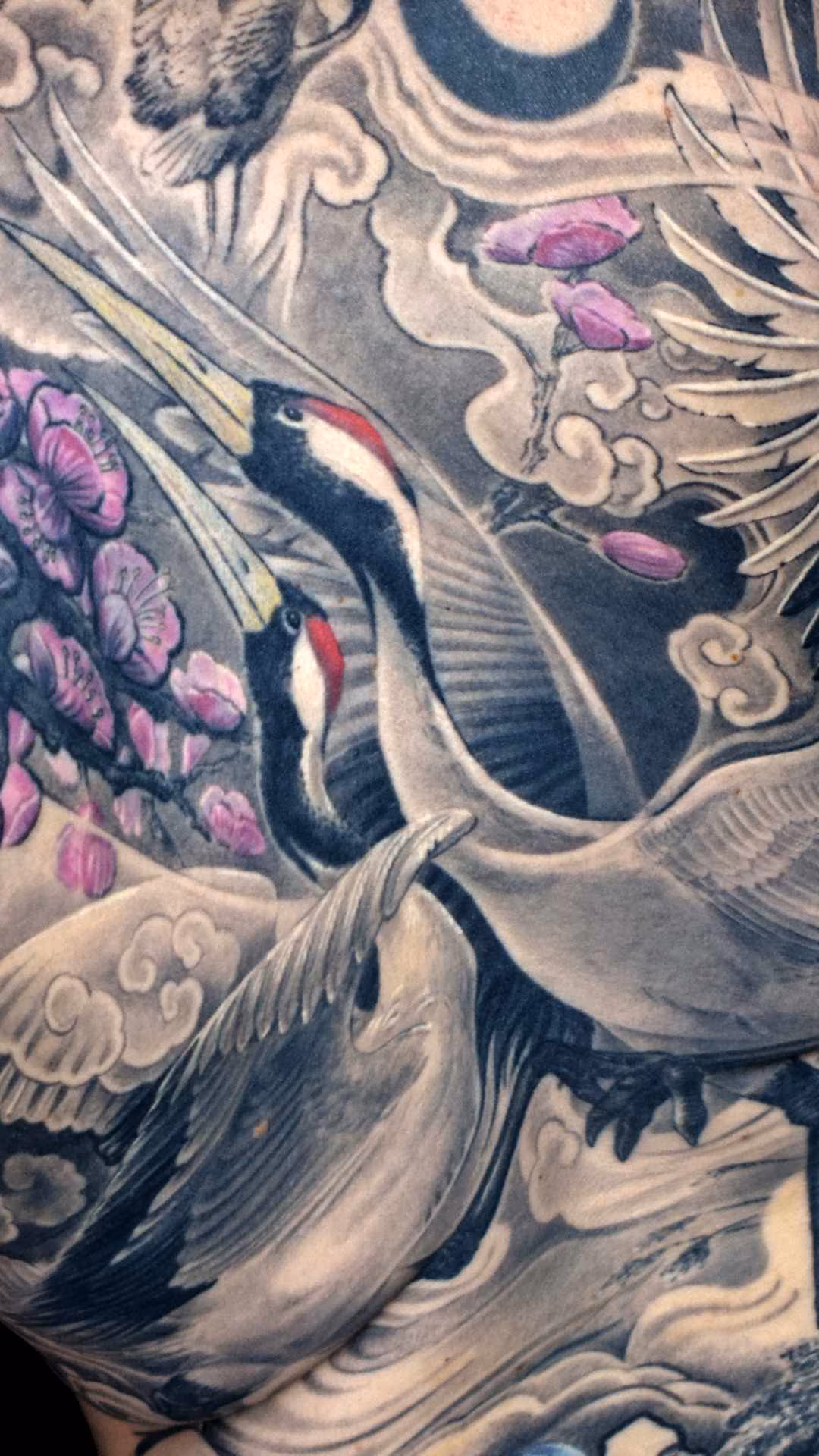 Asia Tattoo Archiv , Link zu Japan Tattoo Galerie , Manschuren Kraniche Kirschblüten Full Back Tattoo
