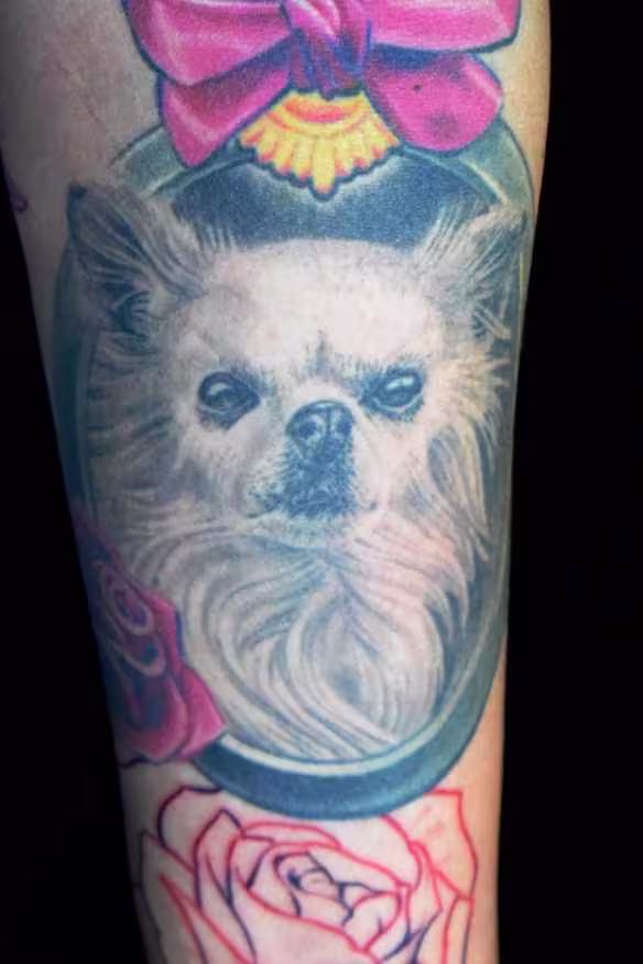 Realistisches Chihuahua Hundeportrait in schlichtem Rahmen mit Schleife und Rosen, kontrastreiches Tier-Tattoo von Raul bei Hits for Life München