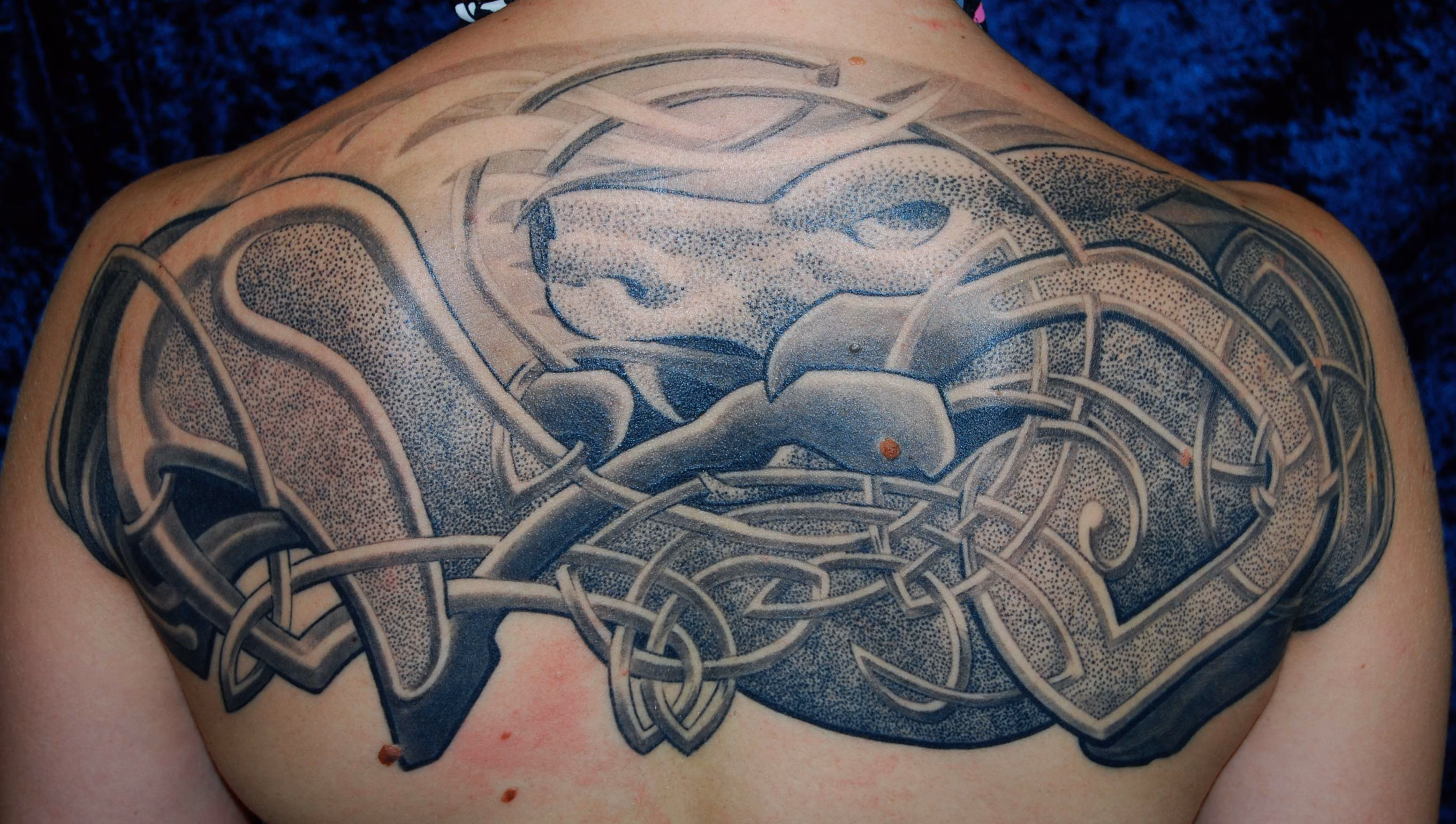 Fenriswolf Tattoo zu Fenir Tattoo, Link pic Fenriswolf Knotwork Tattoo zu Fenrir Dotwork Tattoo