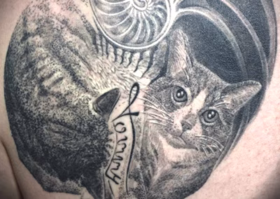 Nautilus Katzen Tattoo