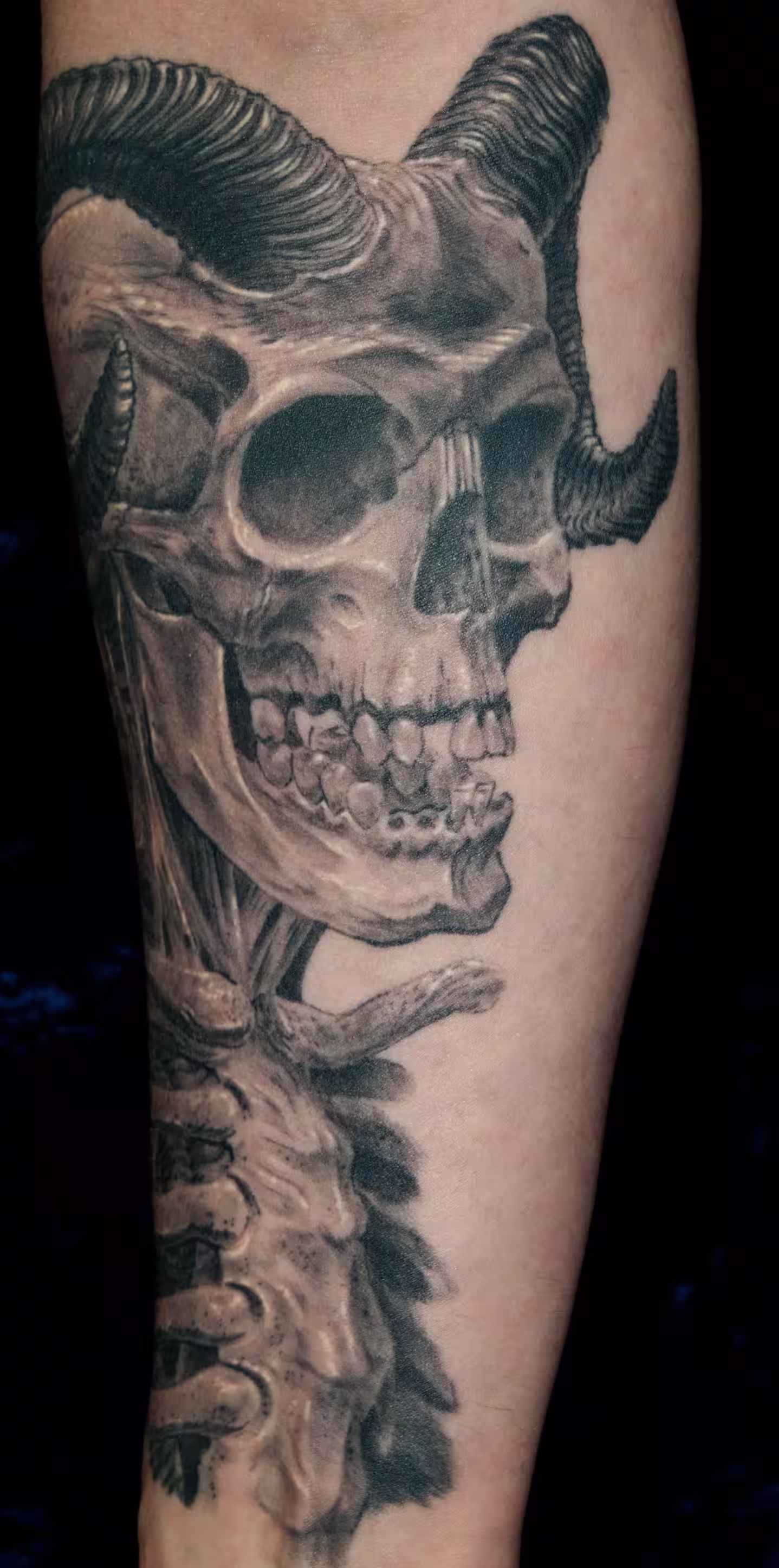 Düsterer Teufelsskull mit Hörnern und anatomischem Torso, detailreiche Dark-Art-Tätowierung von Raul bei Hits for Life Tattoo München