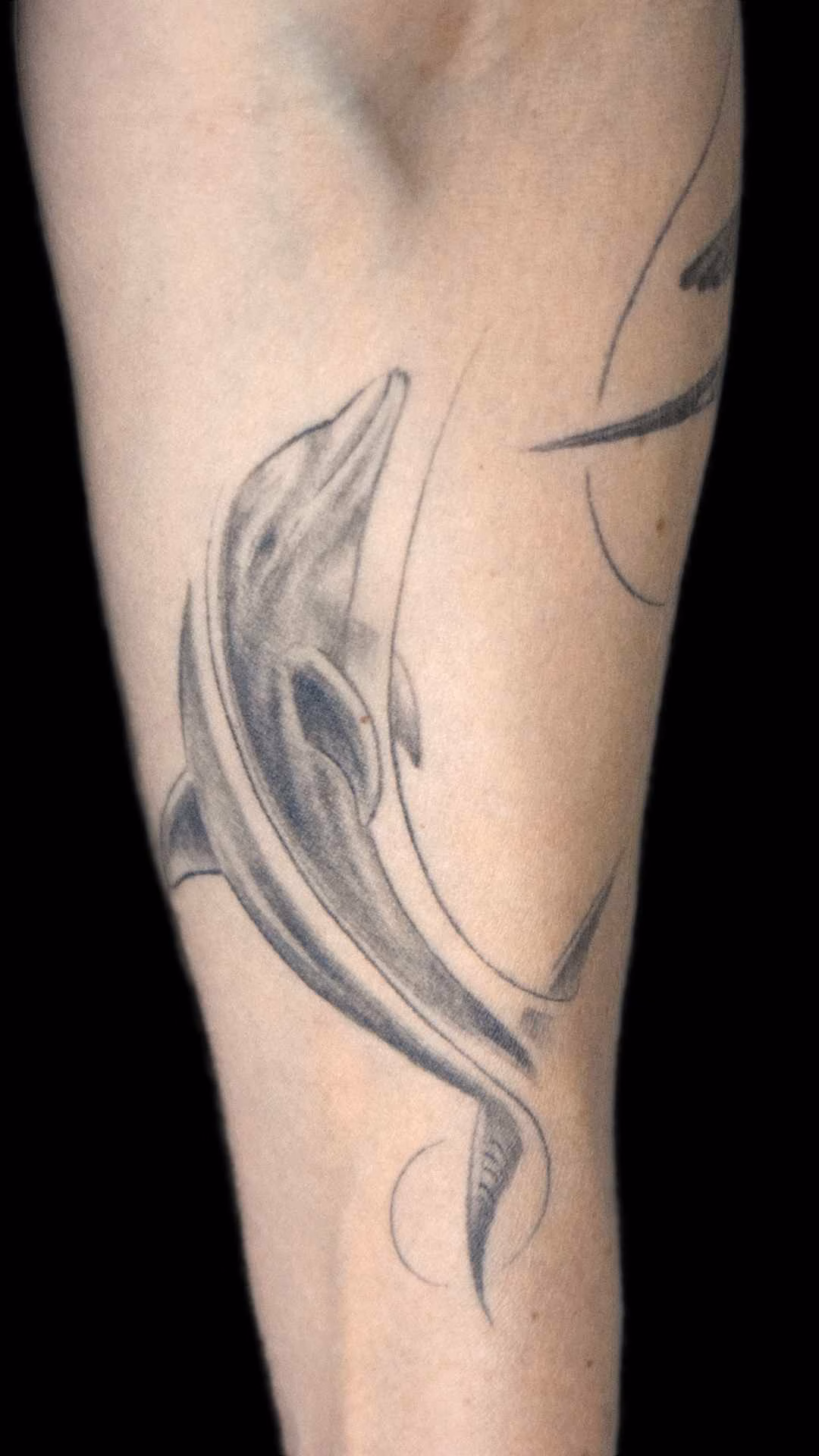 Delphin Tattoo Anschluss an Schwalben und Blumen Delfin-Tattoo mit sanften Schattierungen von Roald Beyer. Das maritime Motiv bildet den fließenden, anatomischen Anschluss an das Schwalben- und Blumen-Tattoo auf dem Oberarm