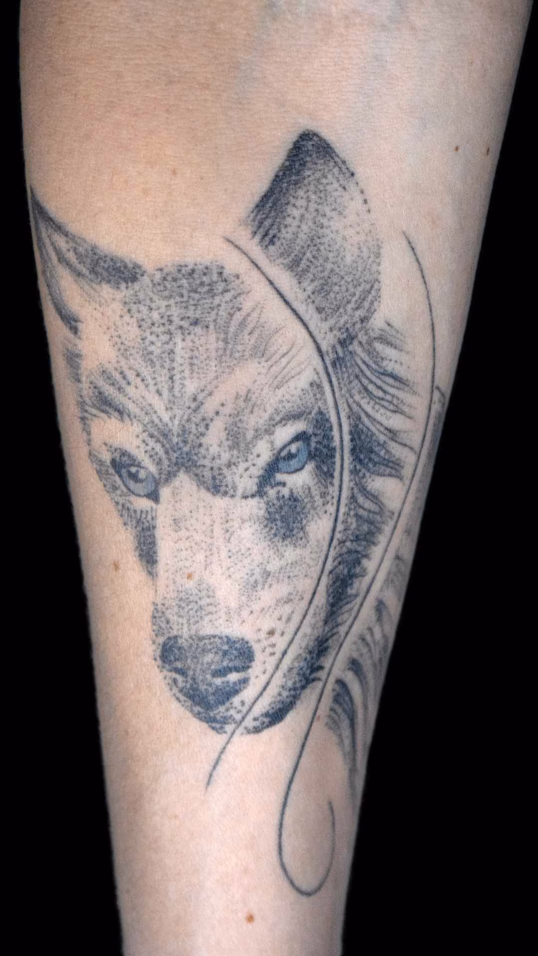 Wolf Tattoo Wolf-Tattoo am Unterarm im detailreichen Stippling-Stil von Roald Beyer. Das Design bildet den perfekten, fließenden Anschluss an das Lilien-Blumen-Tattoo auf dem Oberarm