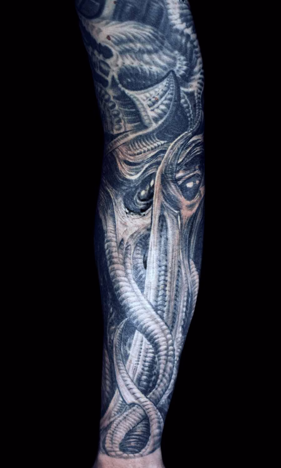cthulhu-tattoo-unterarm-drehung-elle-fluegelklaue Teilweise gedrehter Unterarm mit dem Cthulhu-Motiv im Black-and-Grey-Stil, der den Übergang von der Flügelklaue zu den ersten Tentakeln zeigt