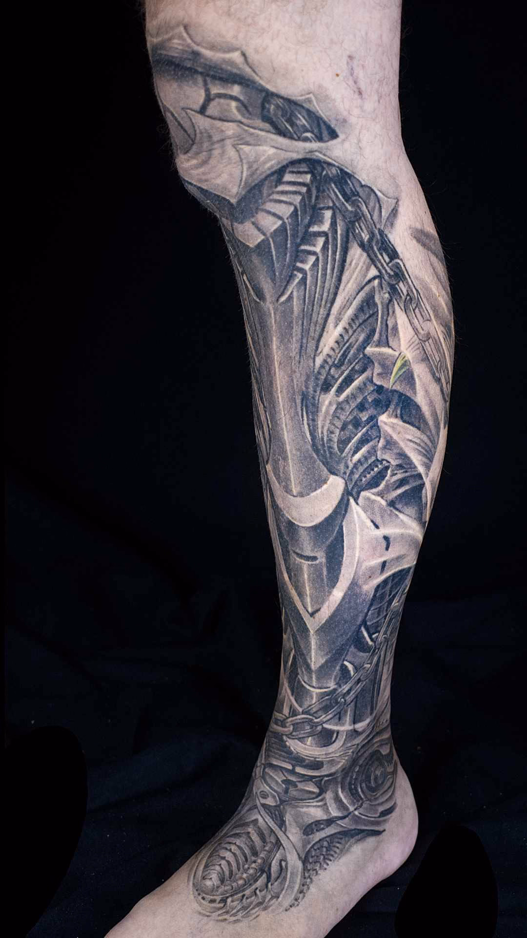 Biomechanik Leg Sleeve Biomechanik Leg Sleeve linkes Bein: Schienbein-Panzerung mit Kettengliedern und Rippenstruktur, reflexionsfrei mit Kreuzpolarisation fotografiert