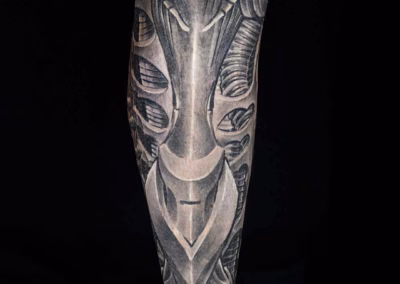 Biomechanik Leg Sleeve