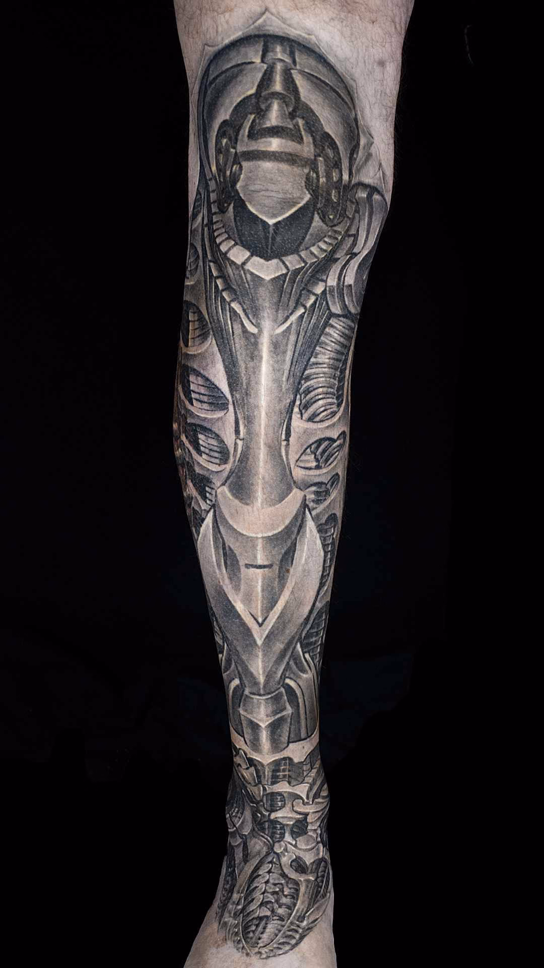 Biomechanik Leg Sleeve